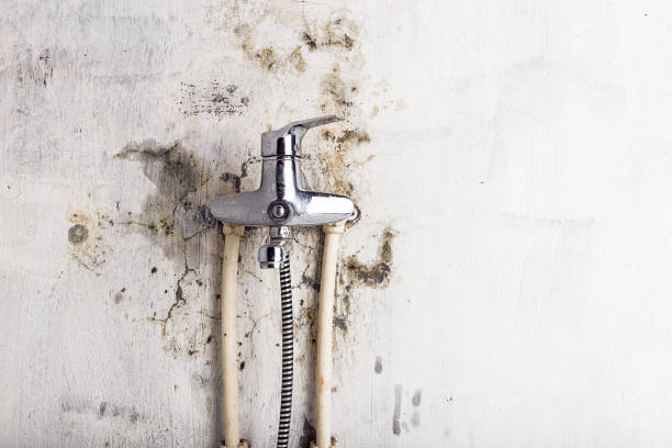 Best Mold Cleaning Services  in Franklin, OH