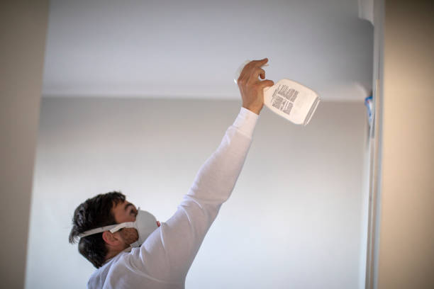 Best Home Mold Removal  in Franklin, OH