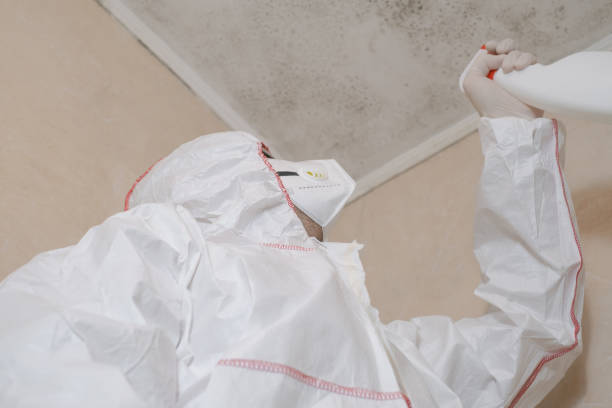 Best Water Damage Restoration  in Franklin, OH