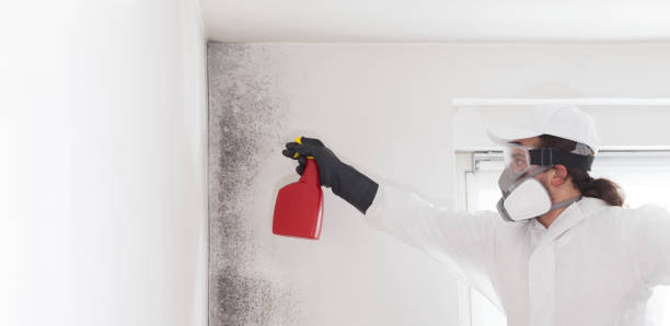 Best Mold Testing  in Franklin, OH