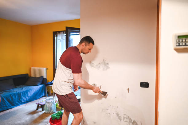 Best Mold Removal Specialists  in Franklin, OH